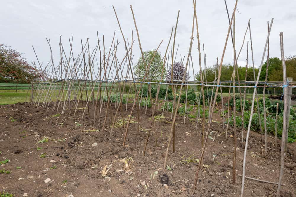 April Gardening Jobs: Quick Tips for a Lush Spring Garden - Rachel Bustin