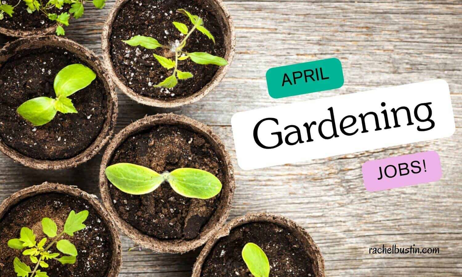 April Gardening Jobs: Quick Tips for a Lush Spring Garden - Rachel Bustin