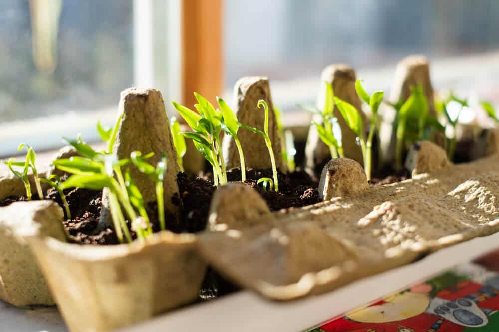 April Gardening Jobs: Quick Tips for a Lush Spring Garden - Rachel Bustin
