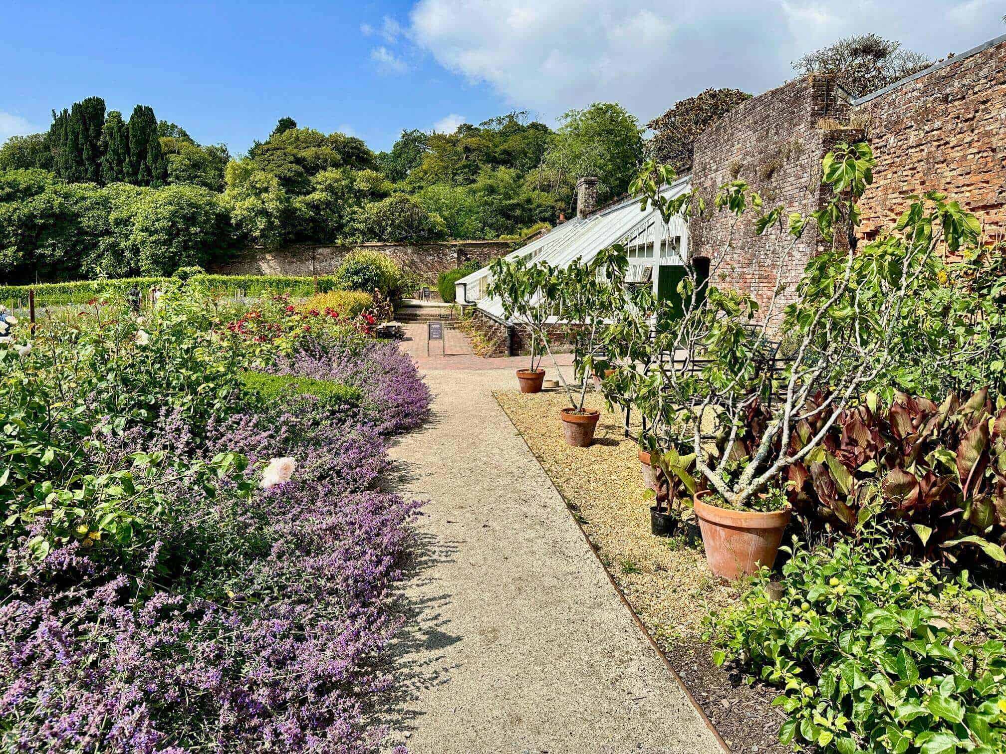 Things To Do In Cornwall May Half Term 2025 - Rachel Bustin