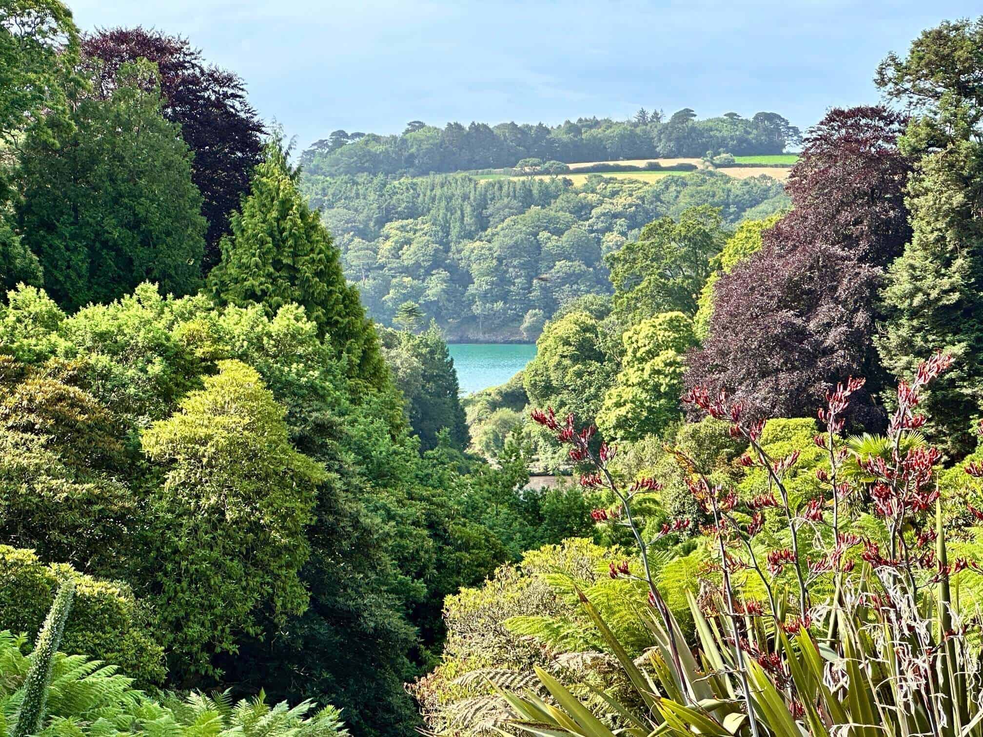 Things To Do In Cornwall May Half Term 2025 - Rachel Bustin