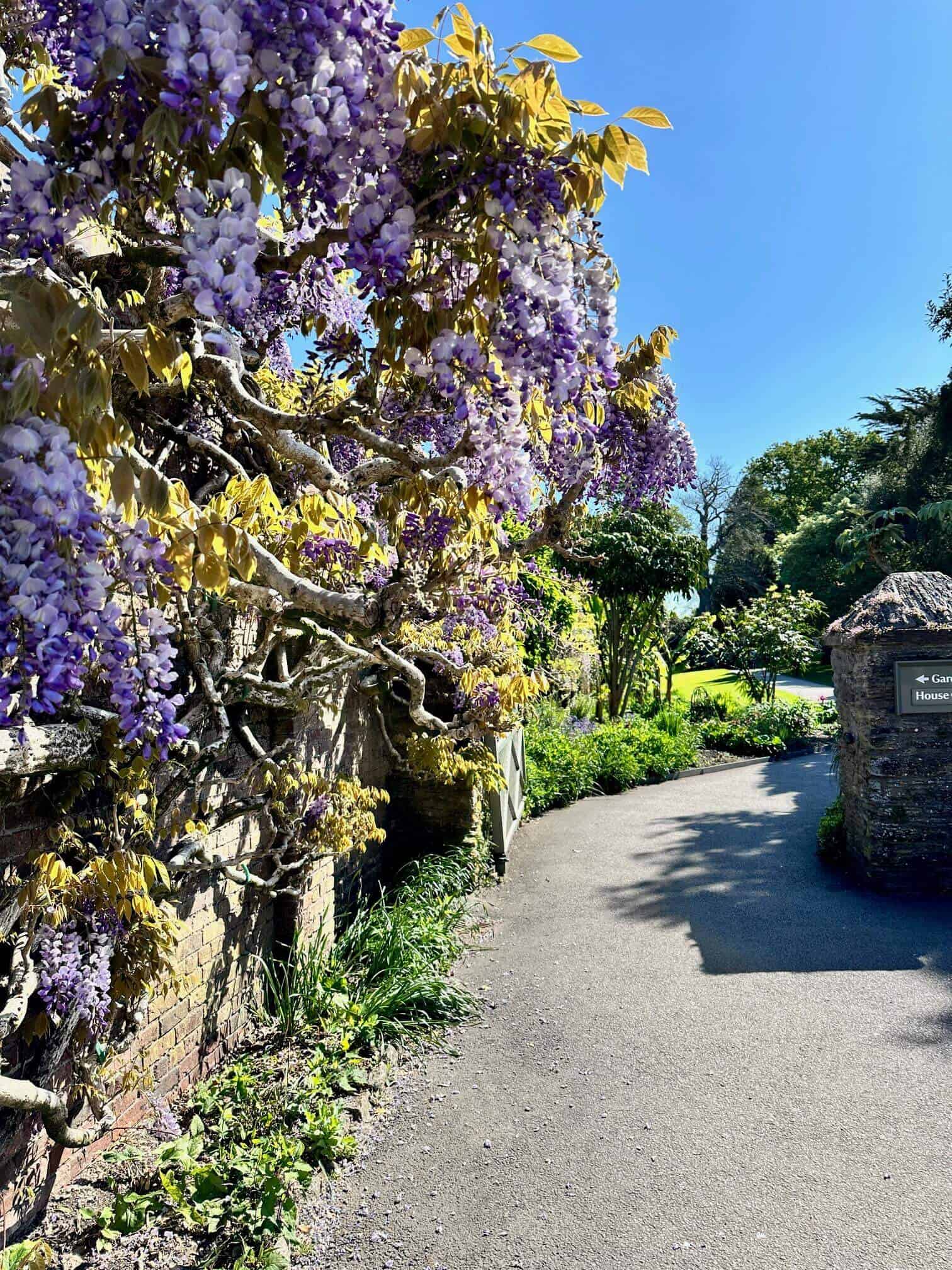 Things To Do In Cornwall May Half Term 2025 - Rachel Bustin